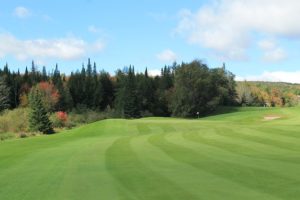 fairway